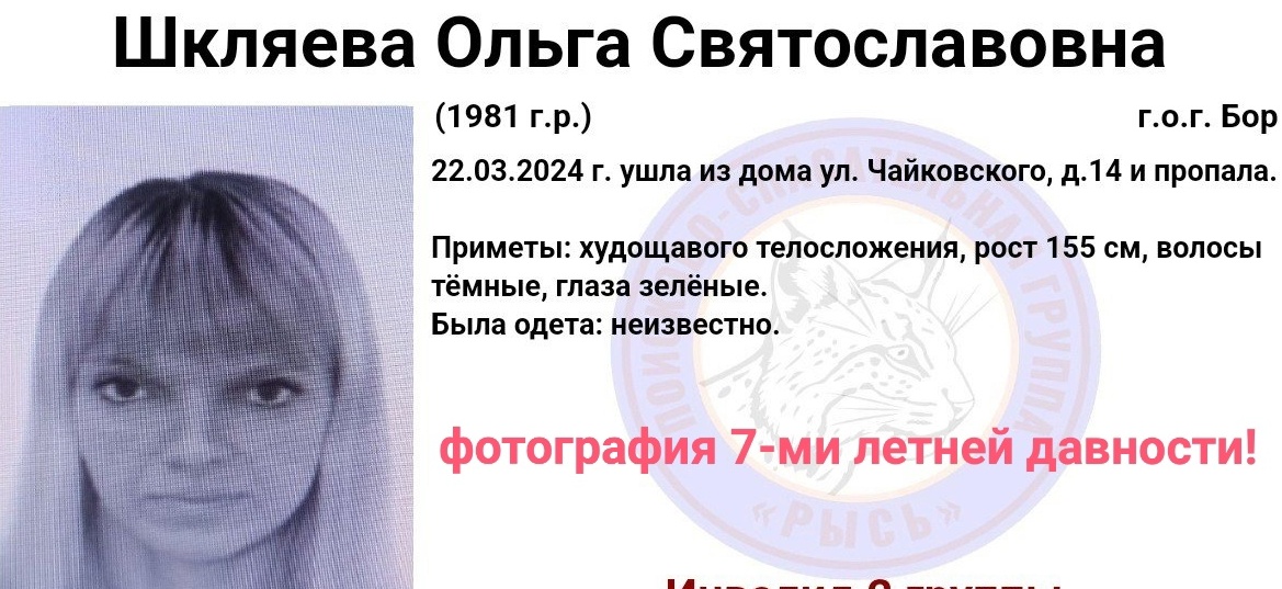 На Бору пропала женщина