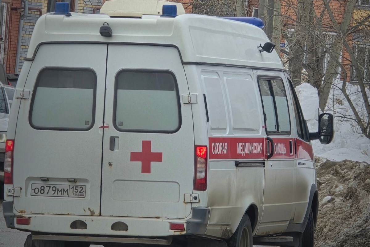 Борский водитель не заметил девочку?