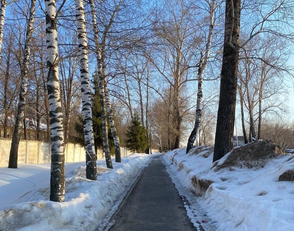 Метеорологическая весна может прийти на Бор 23 марта