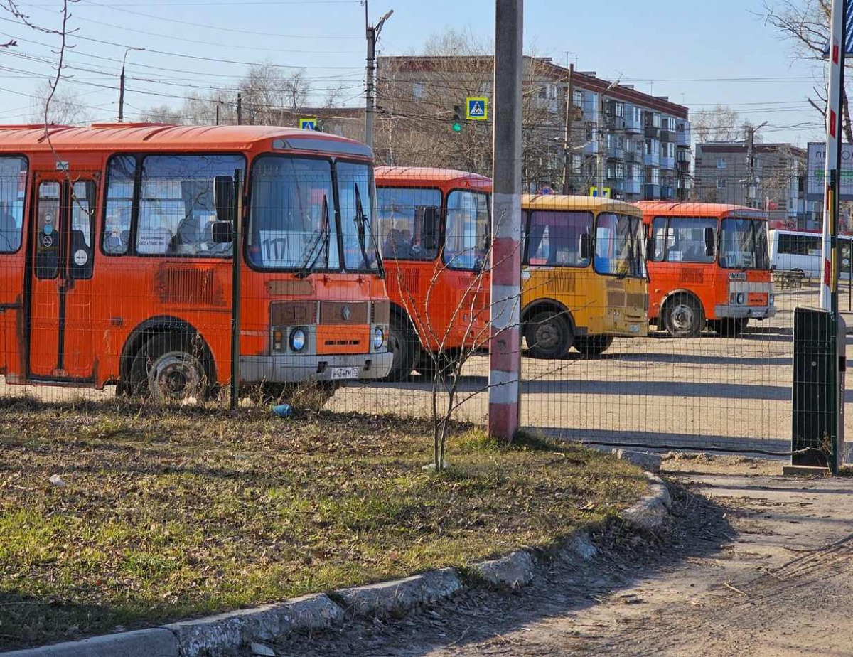 Как справляется новый борский перевозчик? — новости города Бор