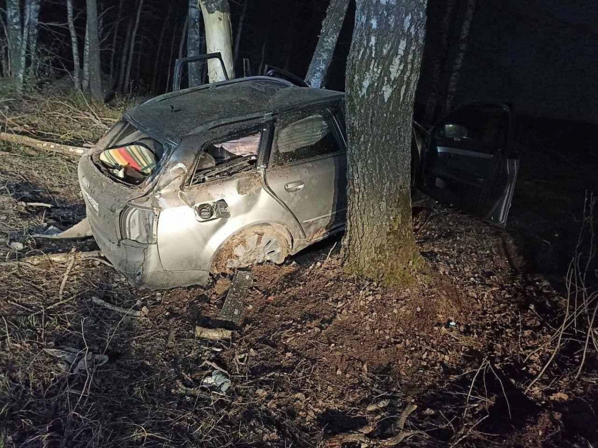 Страшная трагедия произошла около деревни Рожново