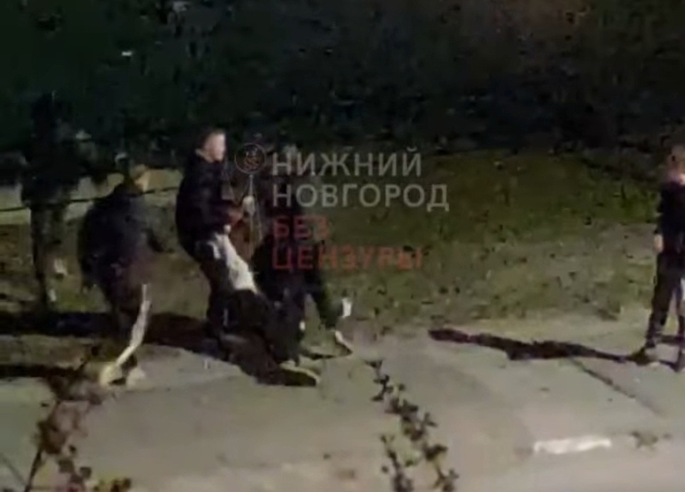 В полиции прокомментировали драку, которая вчера произошла на Бору