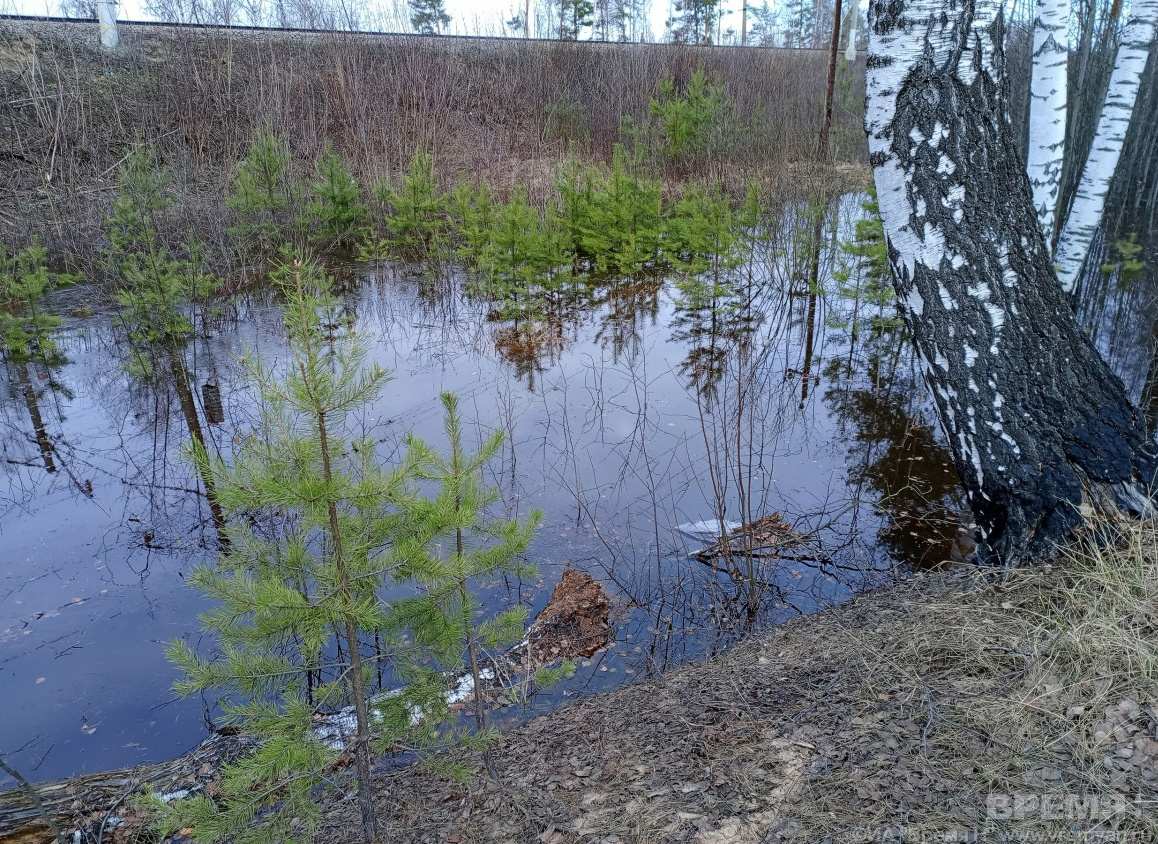 Пункты эвакуации подготовлены в Кантаурове и Железнодорожном в связи с наводнением