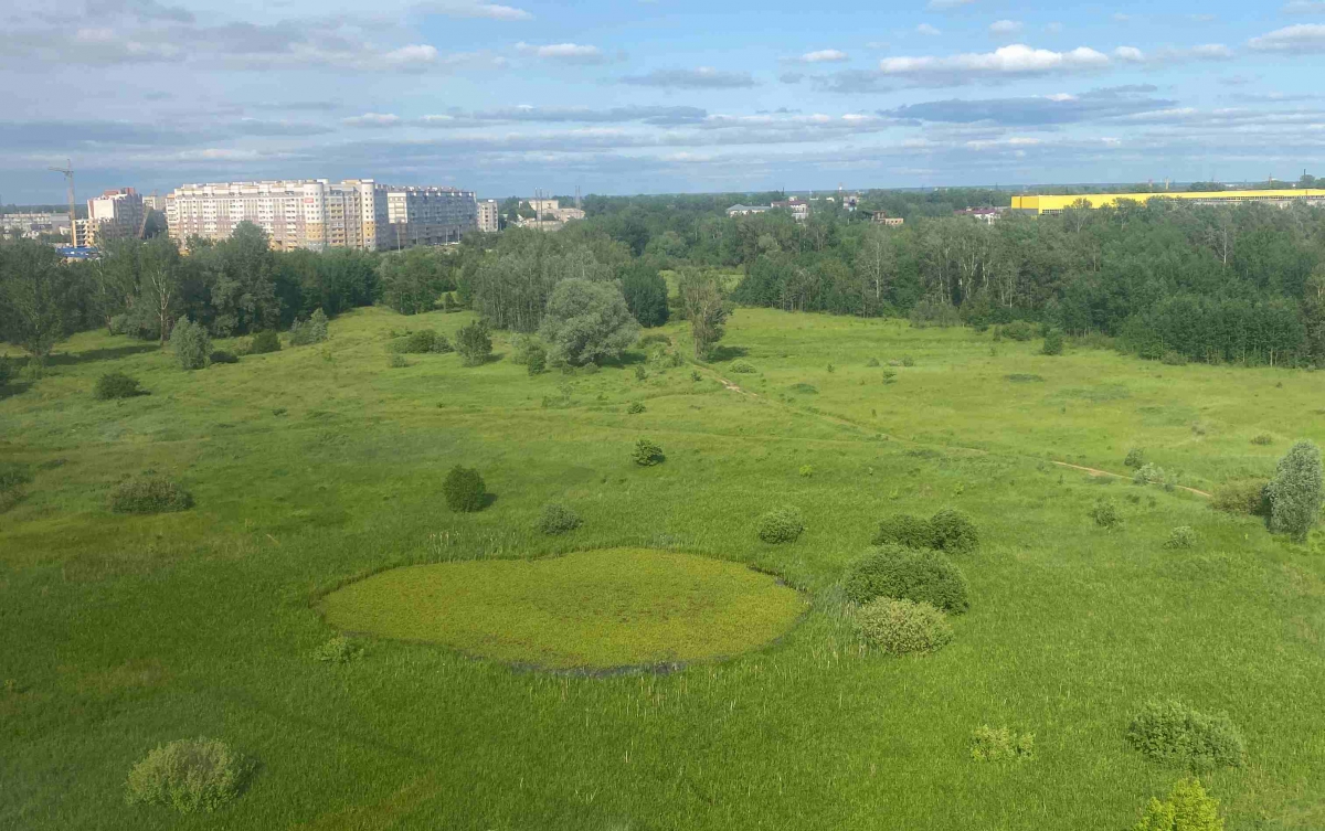 Новый отель может появиться на Борской стороне — новости города Бор