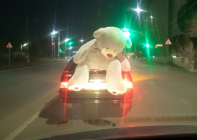 На борской дороге замечен необычный объект