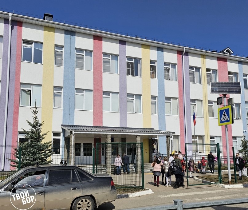 Обществознание исключат из программы 6-8-го классов с 1 сентября 2025 года —приказ Минпросвещения РФ