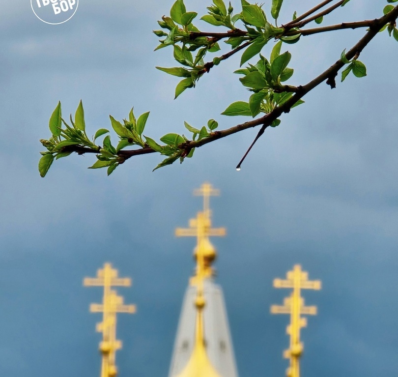 Шестидневная рабочая неделя порадует борчан теплом