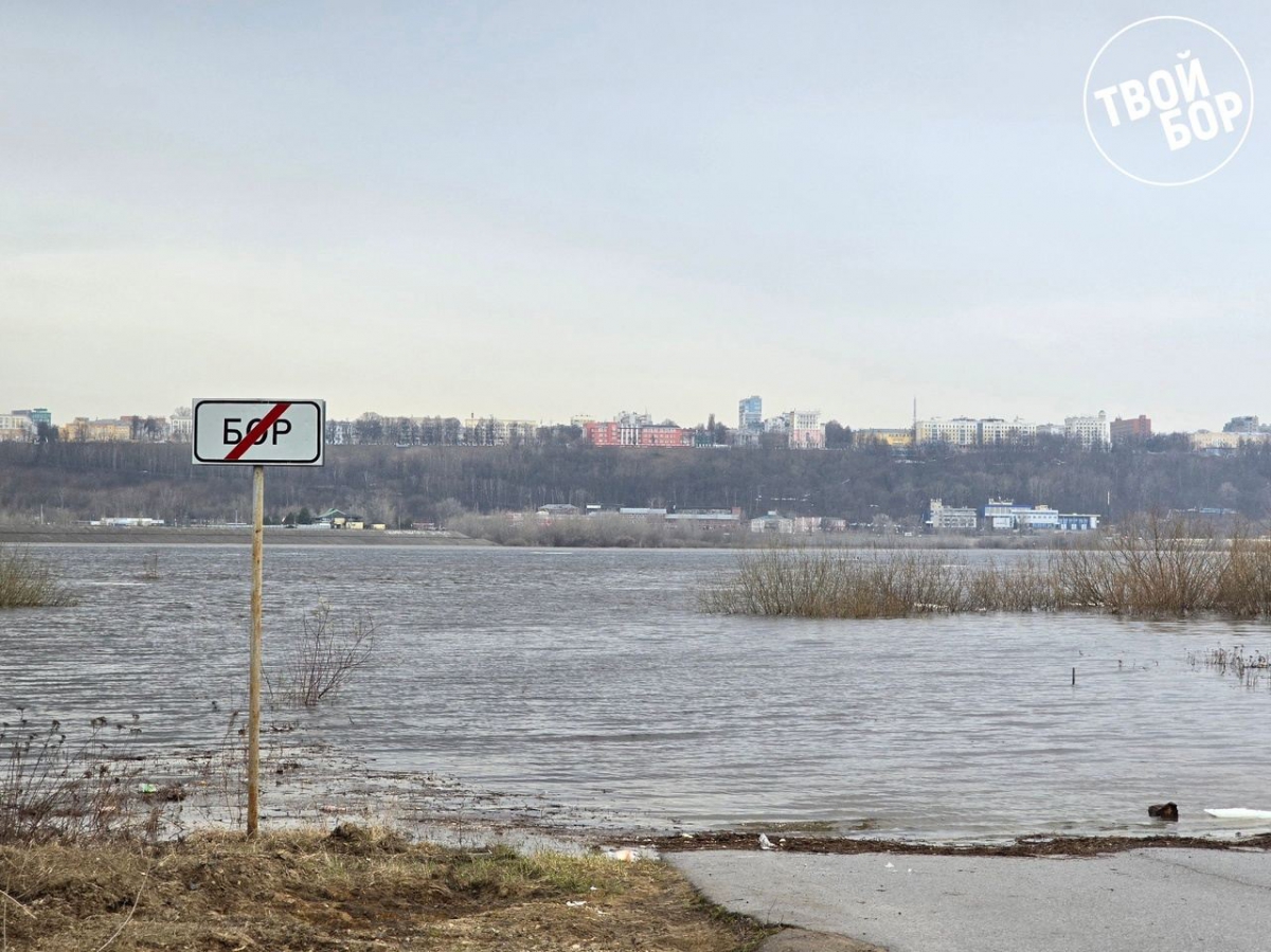 Вода в Волге начала прибывать — новости города Бор