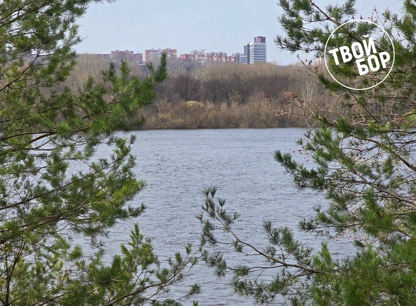 Уровень воды в Волге подрос