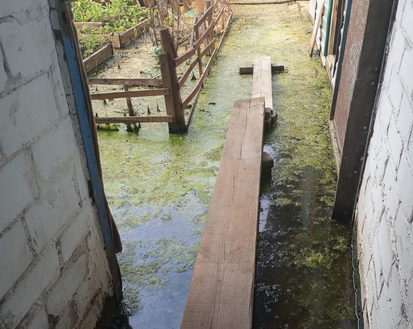 Борчане просят о помощи