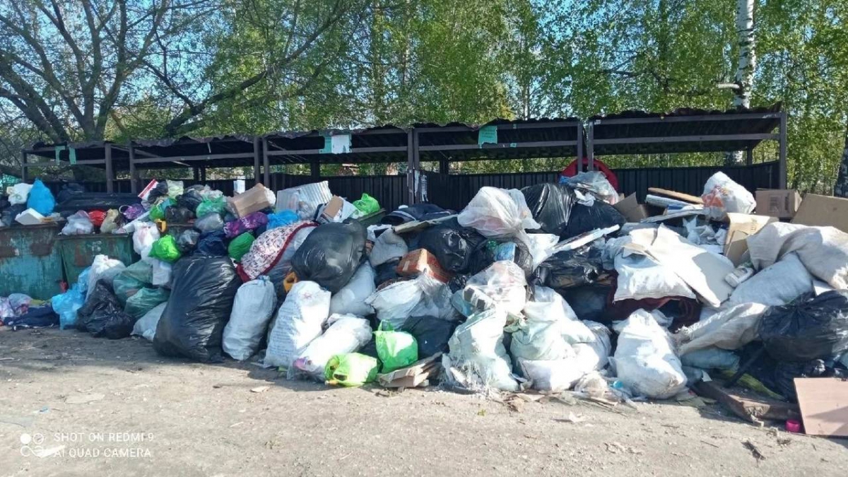 Алексей Боровский рассказал, как будет решаться проблема с мусором