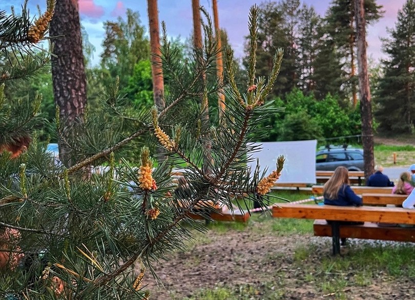 Борчан приглашают в кинотеатр под открытым небом