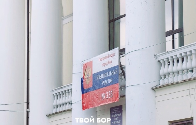 В Борский Совет депутатов пройдут довыборы