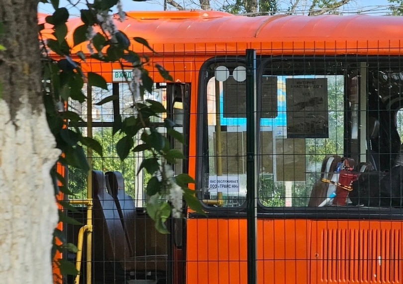 Прямая линия о работе общественного транспорта