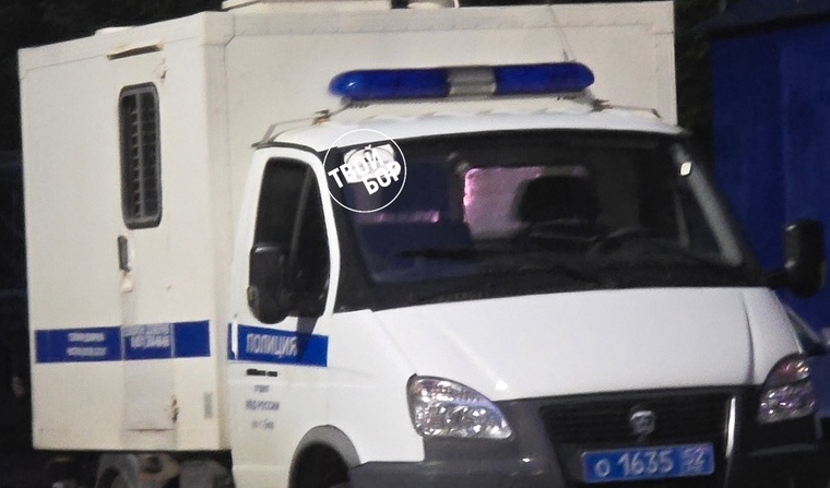 Борчанке грозит до 15 лет лишения свободы. Что случилось?