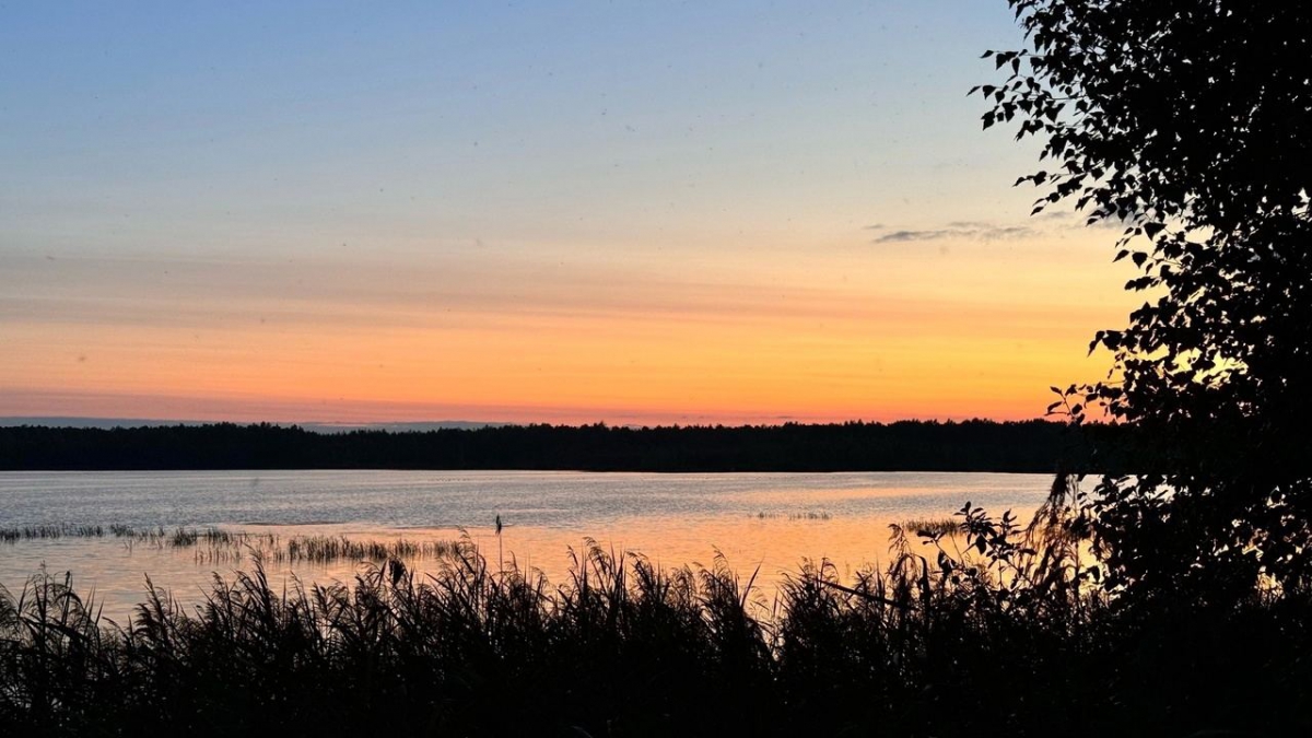 Борские охотники получили «добро» на отстрел пернатой дичи с 17 августа