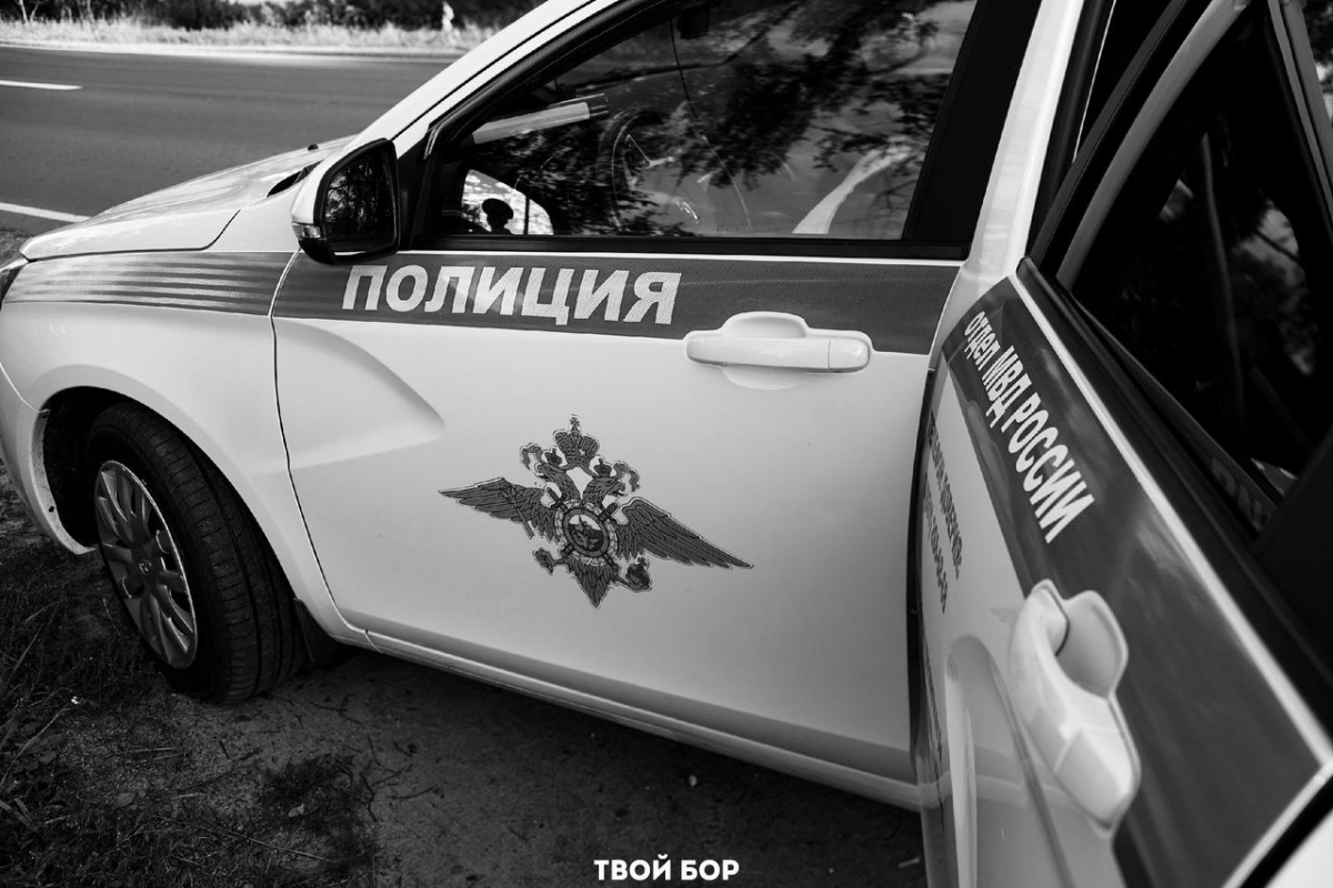 На Бору раскрыта кража ценного имущества