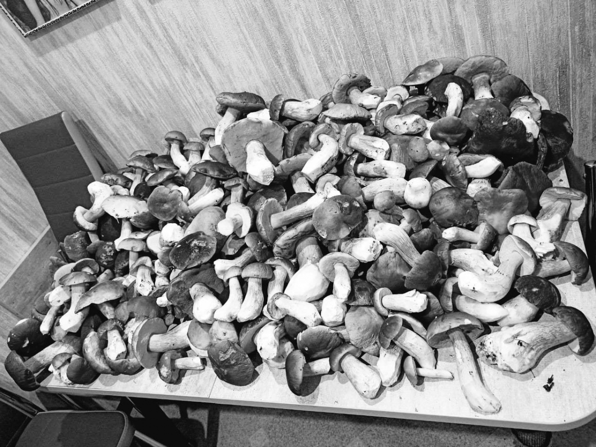 Один грибник погиб на Бору