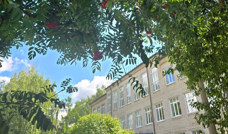 Запрет на мобильные телефоны в борских школах