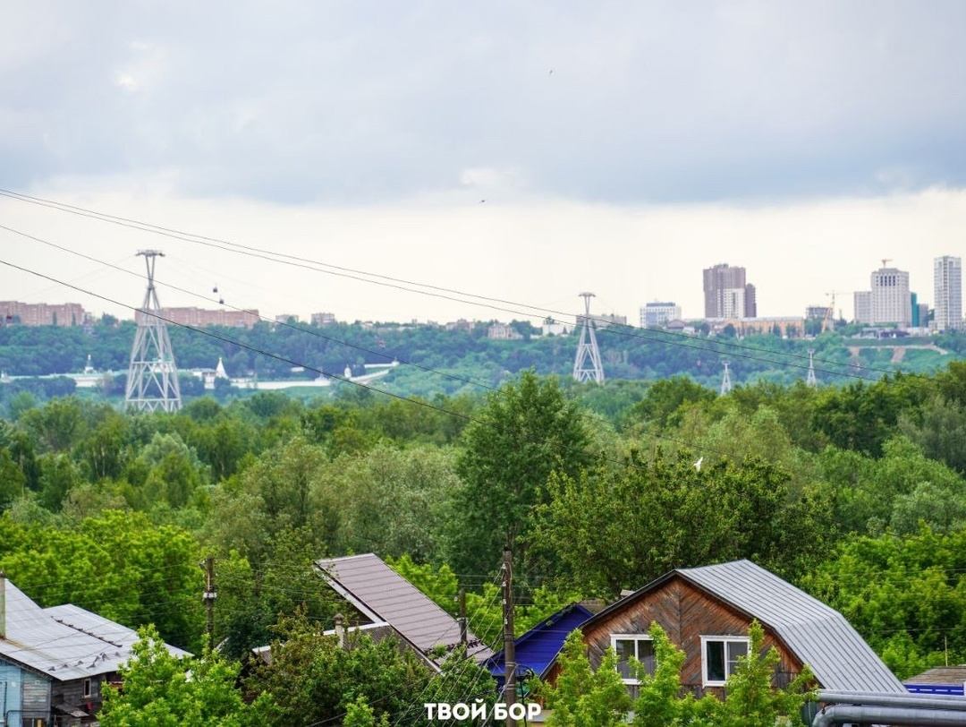 Под суд попал 53-летний житель Бора, которого обвинили в реабилитации нацизма