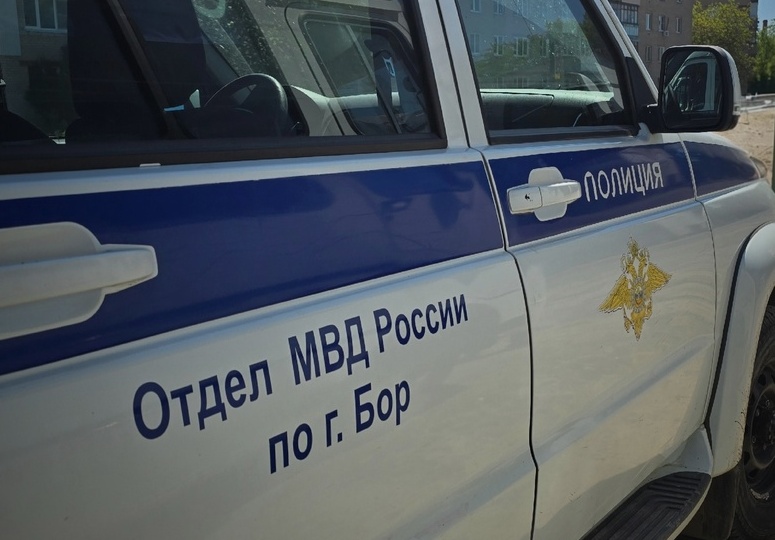 Новость из разряда «и такое на Бору бывает»