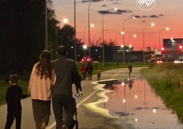 Борским многодетным семьям выдадут удостоверения