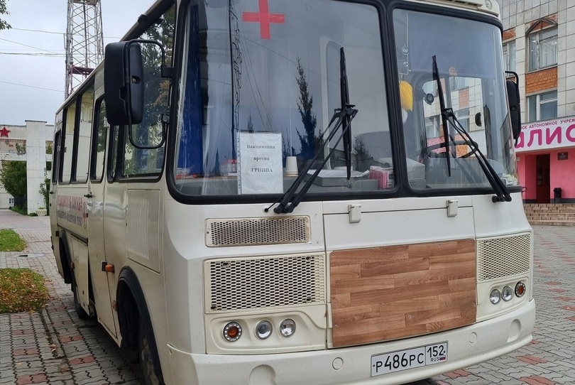 Борчан начнут прививать от гриппа