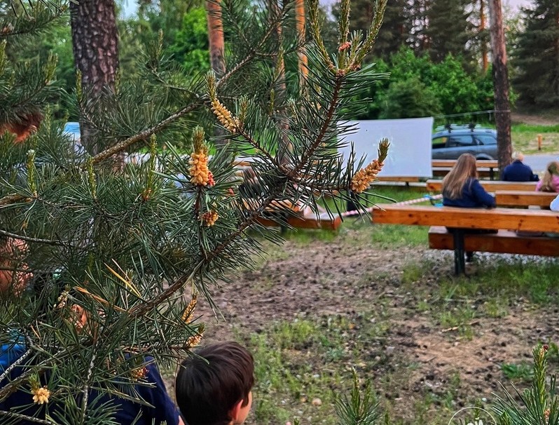 Закрытие киносезона на Моховых