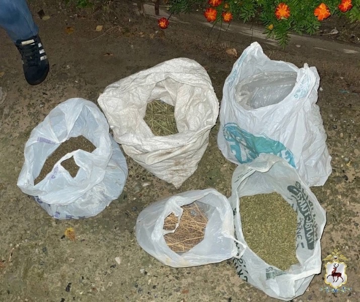 На Бору задержали мужчину с мешочками наркотиков