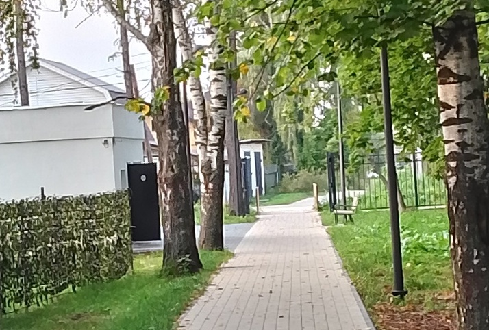 Странные дела в борском парке