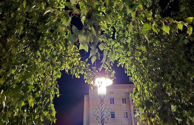 Разработано нужное приложение для борчан