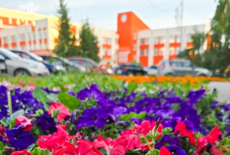 Про последнюю неделю сентября на Бору