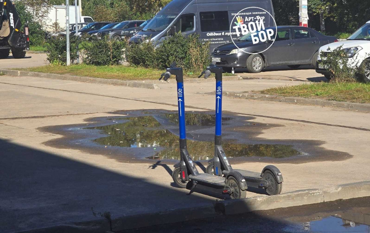 Они распространяются...