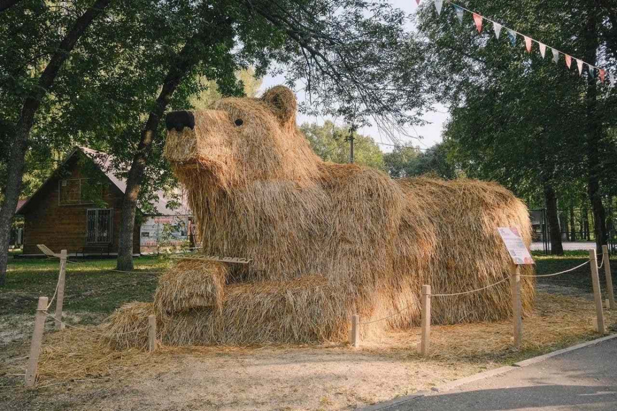Необычные фигуры появились в Нижегородской парке