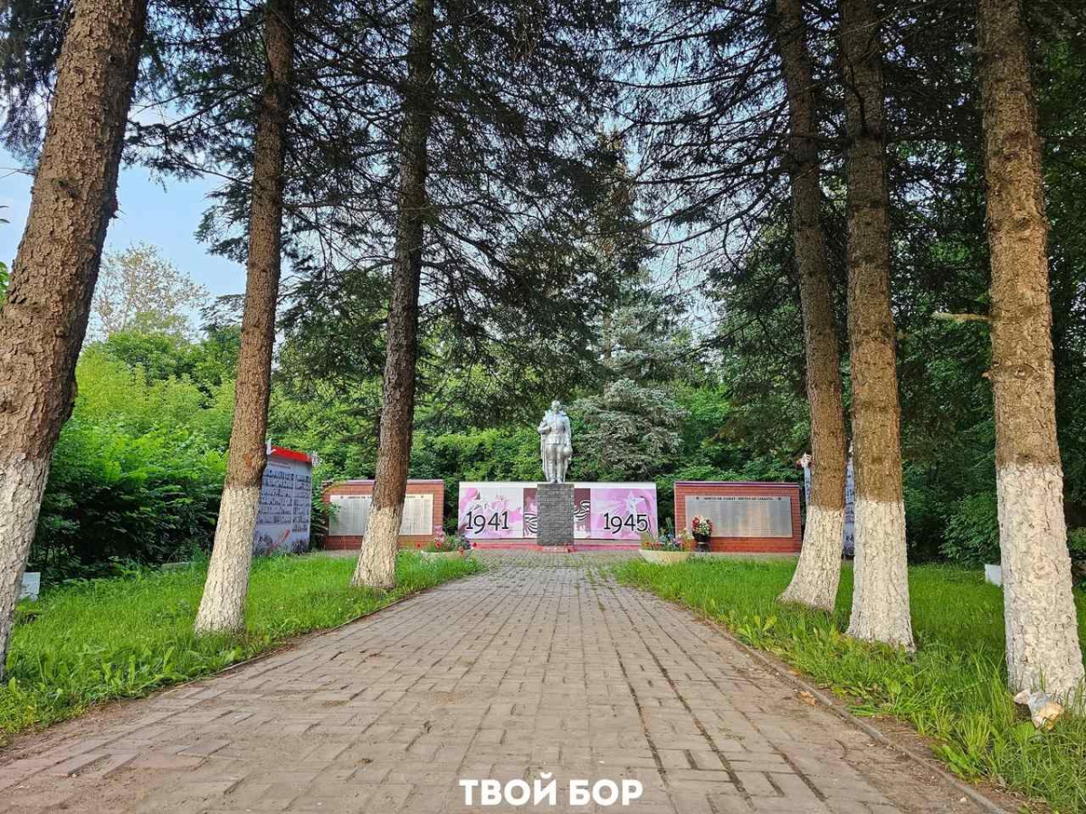 Где в Борском районе отремонтируют памятник, завезут остановку и спилят деревья?