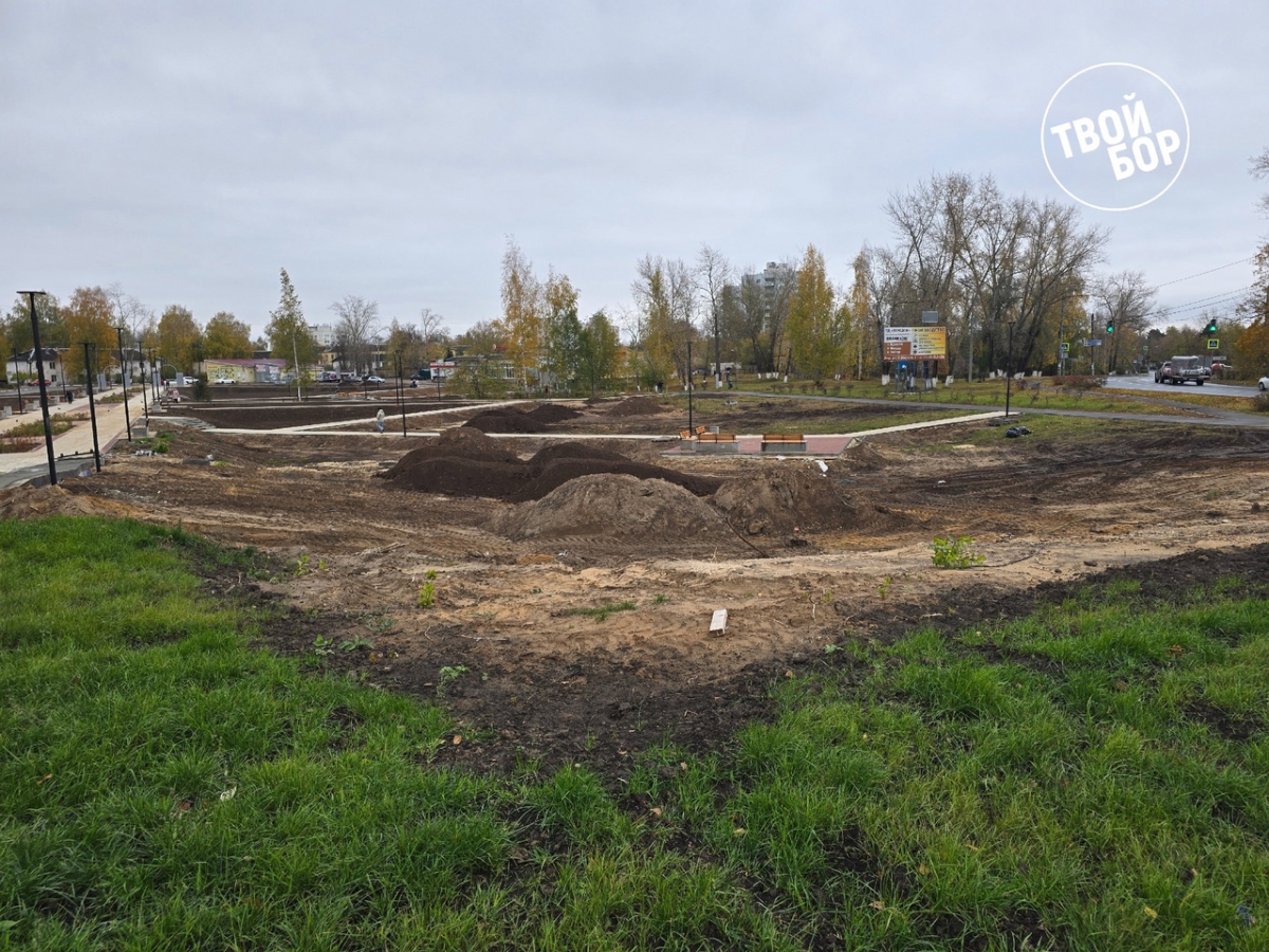 Что происходит на Аллее Ветеранов?