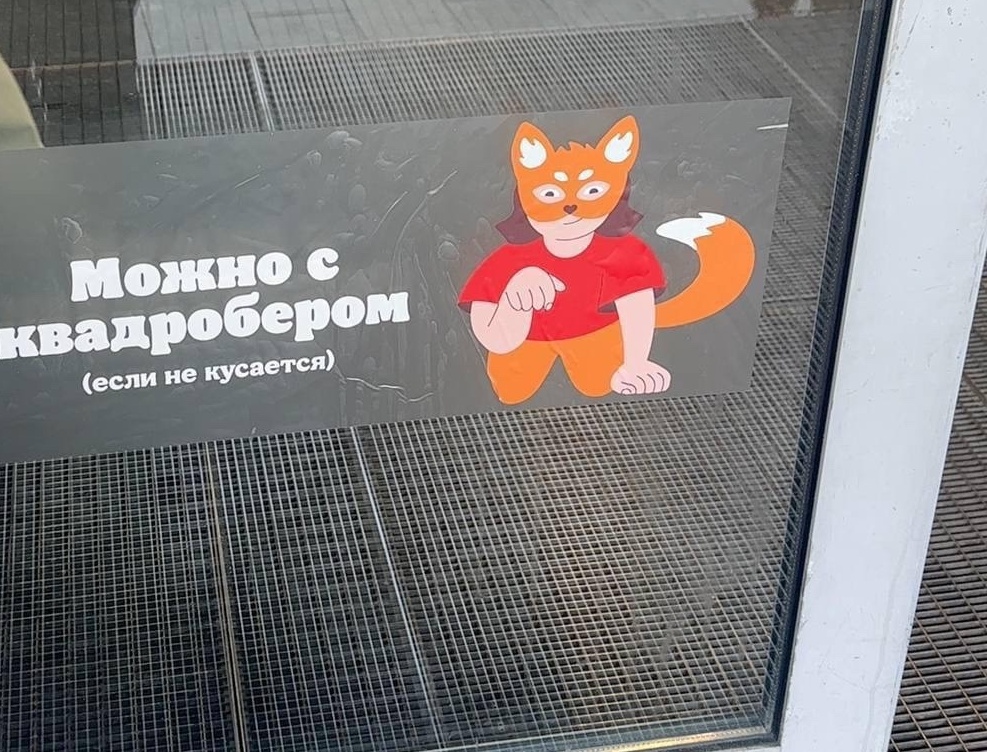 А вы дружите с квадроберами?