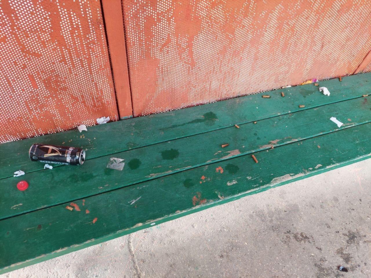 Крик души борчанина