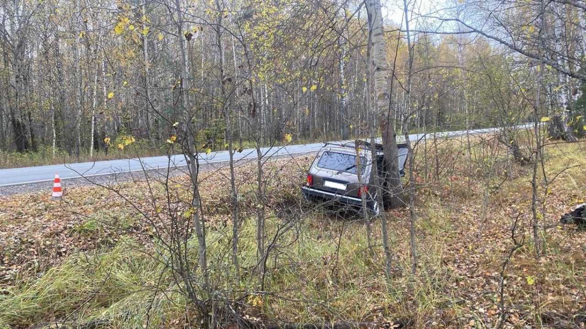 Водитель в реанимации после ДТП в Борском районе