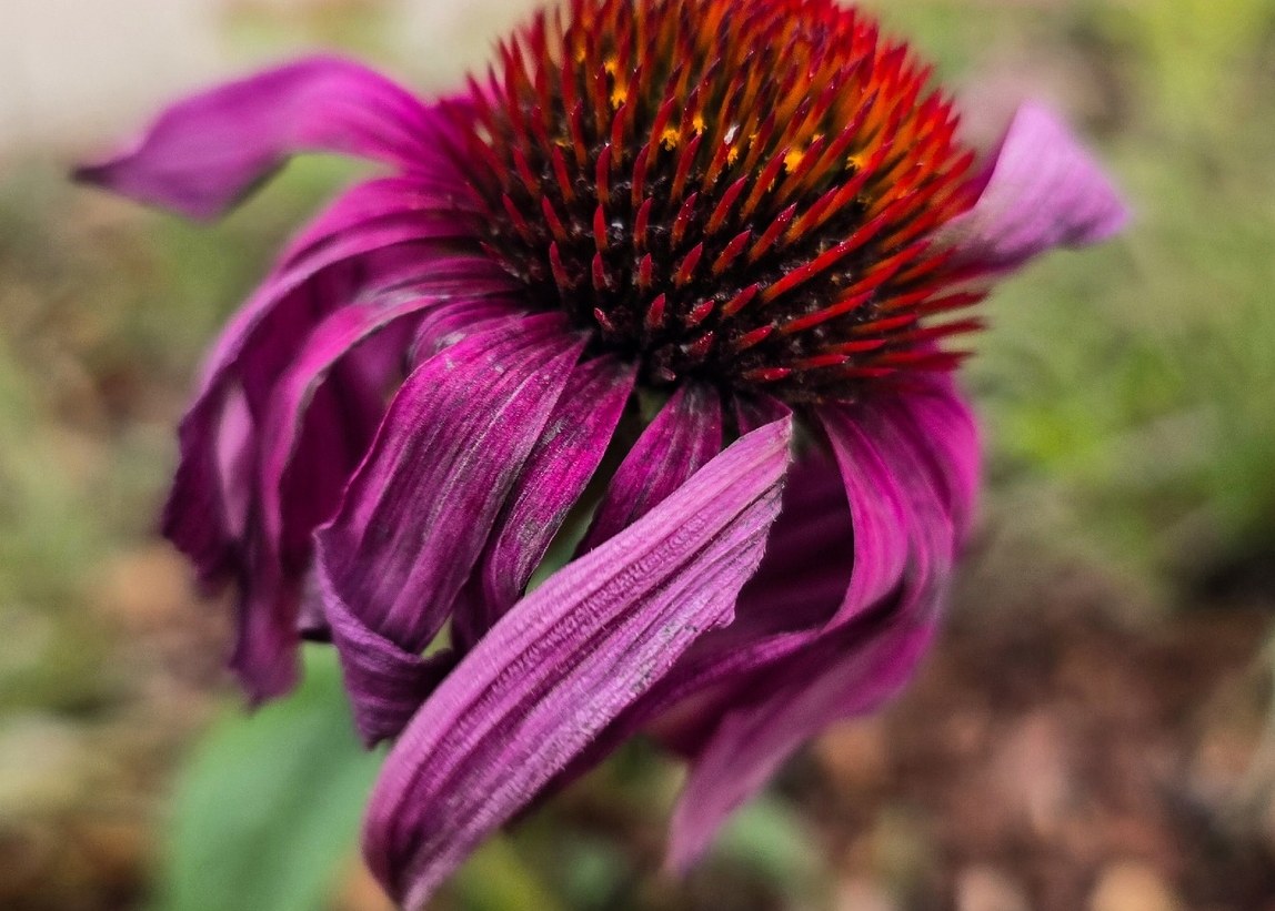 Ноябрь в этом году будет чуть теплее