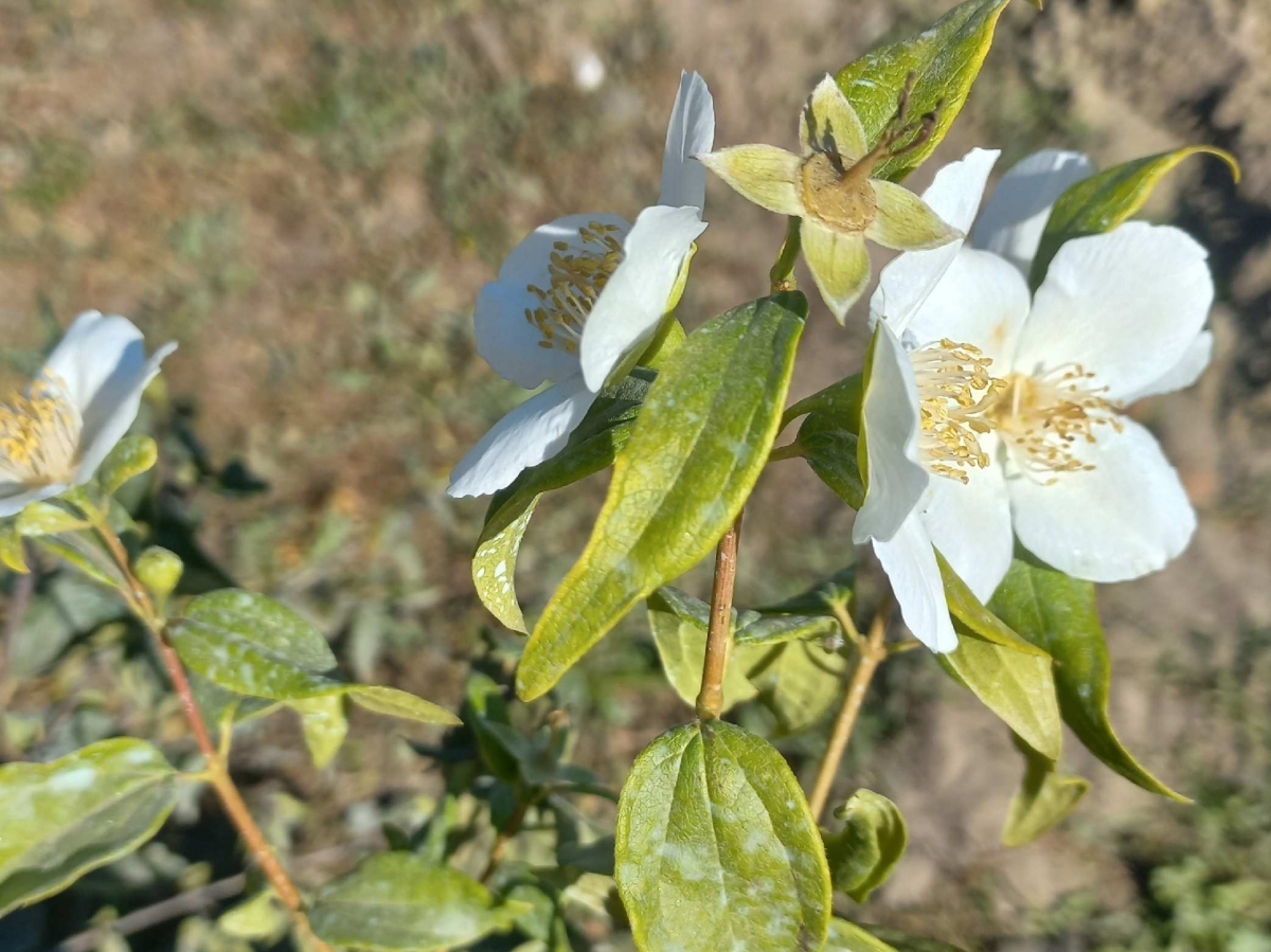 Подскажите, какое на Бору время года?