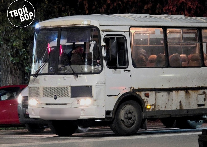 БорПАП оказался в числе оштрафованных перевозчиков