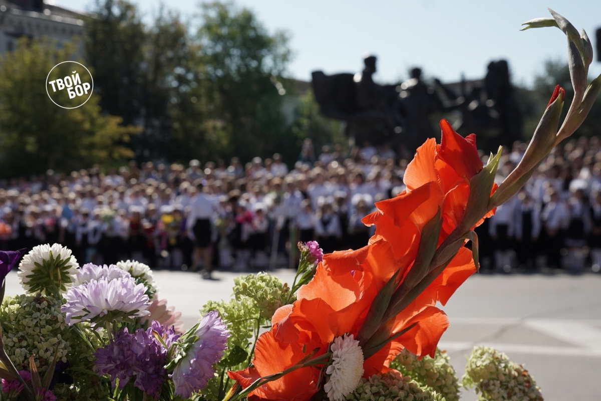 На территории нашего города трудится множество учителей