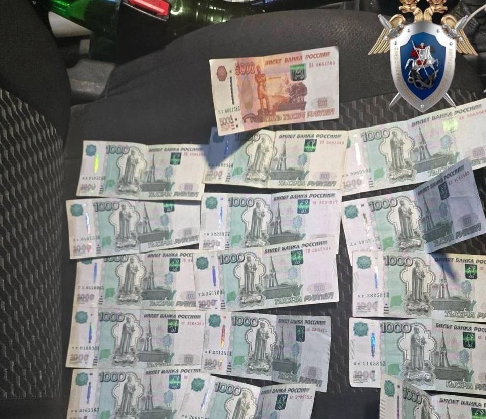 На Бору возбуждено уголовное дело: узбек решил дать взятку сотруднику ГИБДД