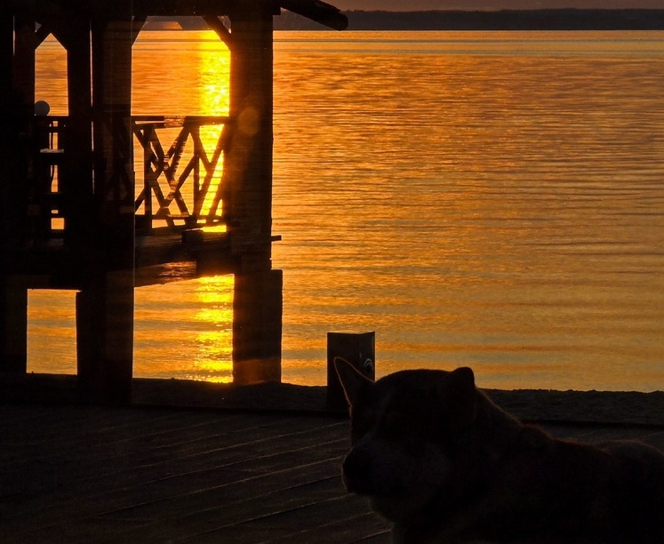 Перевалило за 10...