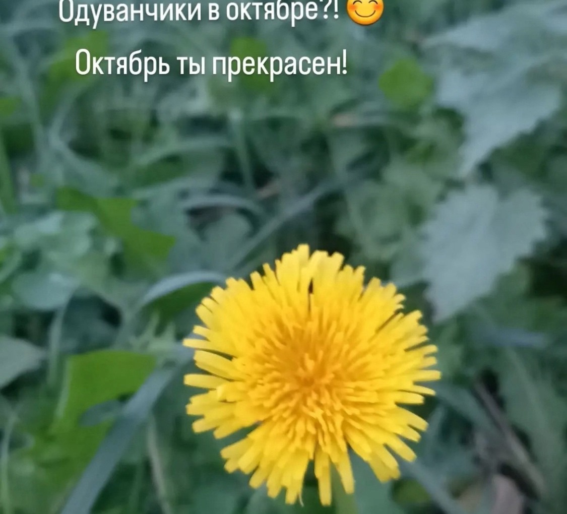 Природа не перестает удивлять