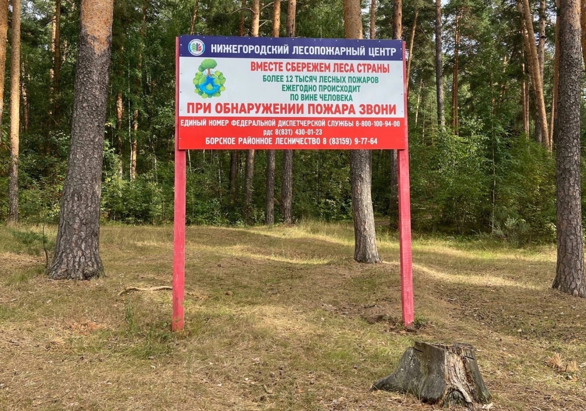 В Нижегородской области отменён особый противопожарный режим