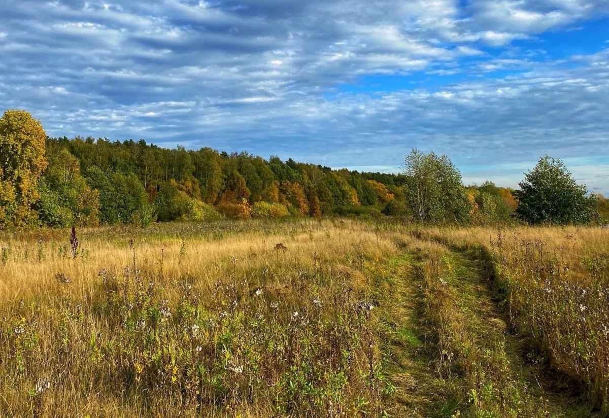 Необычайно жаркий и сухой сентябрь поразил борчан