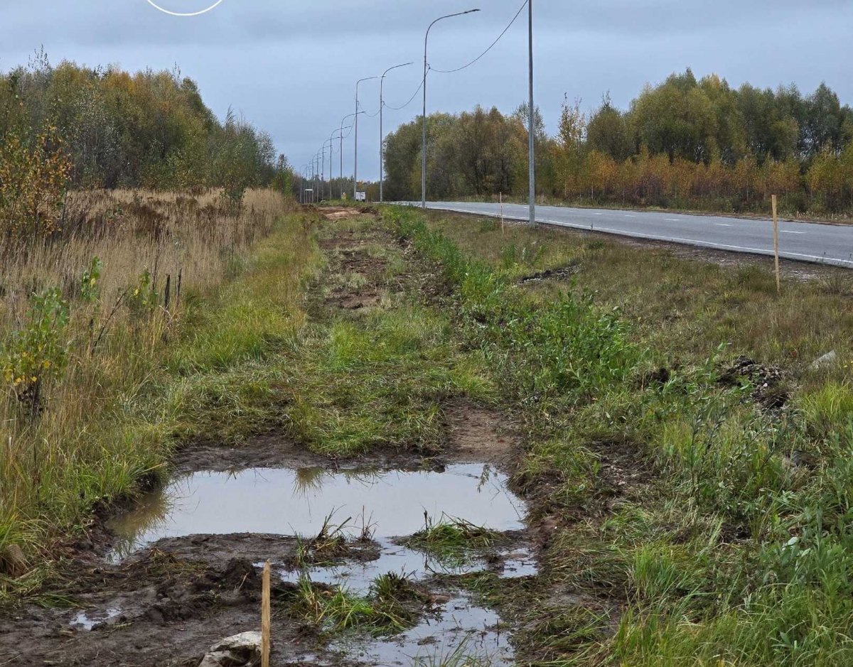 Строительство велодорожки начинается на Бору