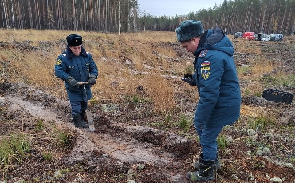 Борские пожарные МЧС России посадили 10 тысяч деревьев в рамках акции «Сохраним лес»